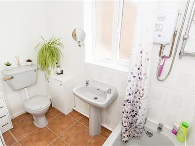 Picture 17